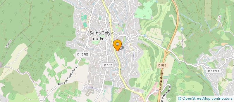 localisation de l'entreprise LEERAH  SAINT-GELY-DU-FESC