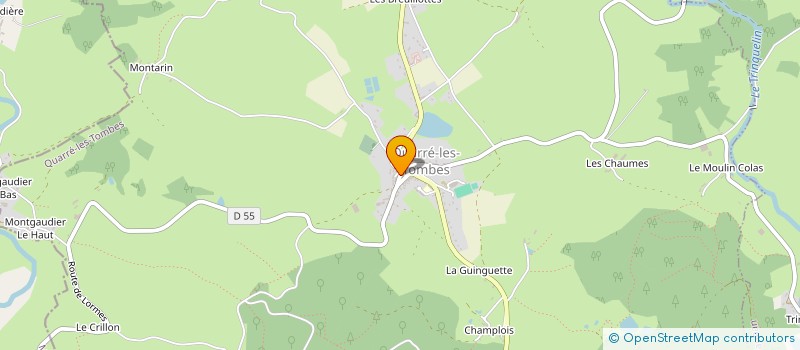 localisation de l'entreprise LEGUYMARCHAND  QUARRE-LES-TOMBES