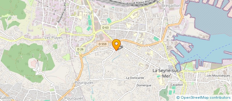 localisation de l'entreprise LEI TAMARISSIERO à LA SEYNE-SUR-MER