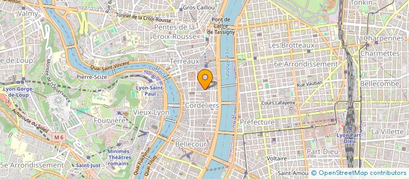 localisation de l'entreprise LEISSING SOPHIE  LYON