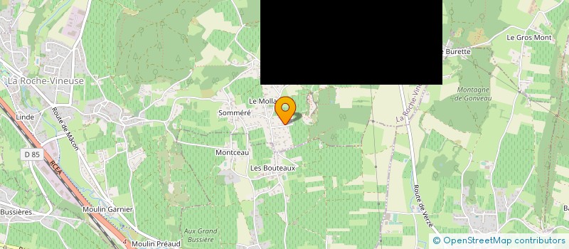 localisation de l'entreprise LEISURE TECHNOLOGIES à LA ROCHE-VINEUSE