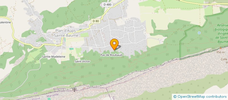 localisation de l'entreprise LEIZA  PLAN-D'AUPS-SAINTE-BAUME