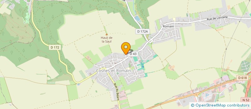 localisation de l'entreprise LEJEUNE  COSNES-ET-ROMAIN