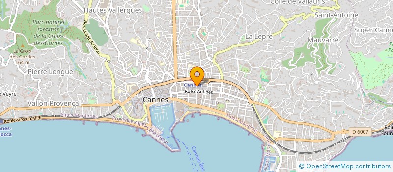 localisation de l'entreprise LELEU - MER  CANNES
