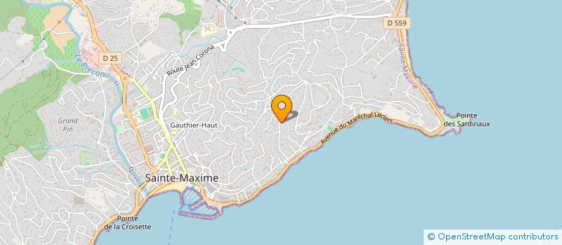 localisation de l'entreprise LELINA à SAINTE-MAXIME