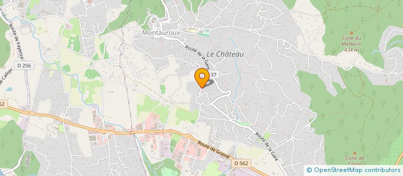 localisation de l'entreprise LEMA  MONTAUROUX