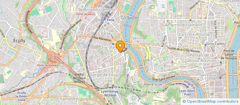 localisation de l'entreprise LEMA  LYON