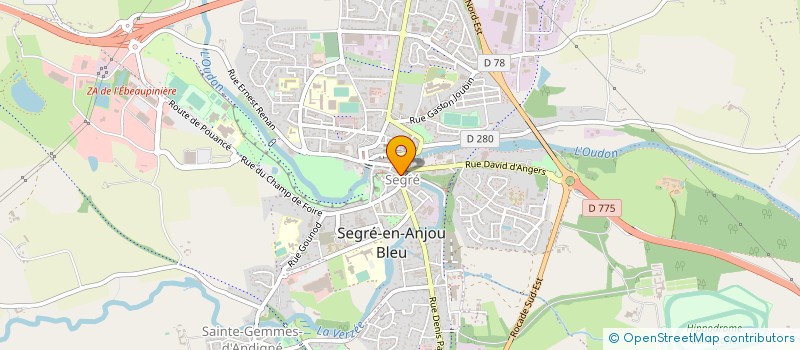 localisation de l'entreprise LEMAGNEN FEUILLET  SEGRE-EN-ANJOU BLEU