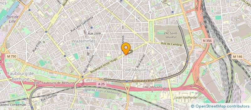 localisation de l'entreprise LEMAIRE ADRIEN - COROT LOUISE-ANNE  LILLE