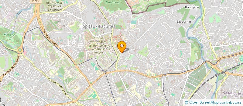 localisation de l'entreprise LEMAN CITY à MONTPELLIER