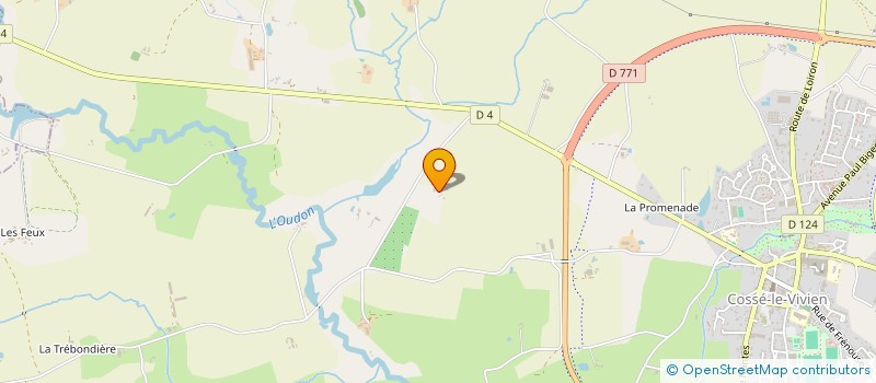 localisation de l'entreprise LEMAZURIER SOCIETE  COSSE-LE-VIVIEN