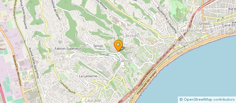 localisation de l'entreprise LEMON PRESSINGS à NICE