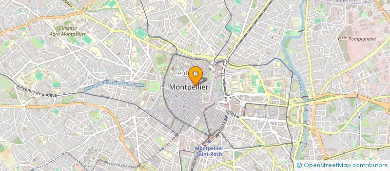 localisation de l'entreprise LEMON STUDIO  MONTPELLIER