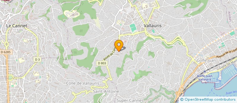 localisation de l'entreprise LEMURIER06 à VALLAURIS