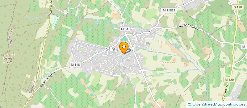 localisation de l'entreprise LEO  SAINT-DREZERY