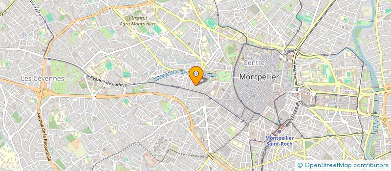 localisation de l'entreprise LEO AUTOS à MONTPELLIER