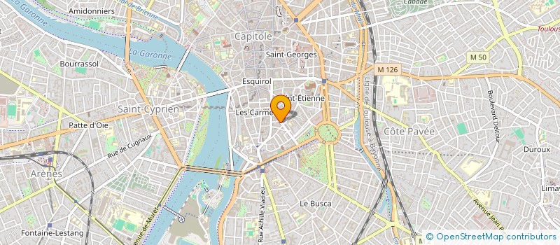 localisation de l'entreprise LEO IMMO  TOULOUSE