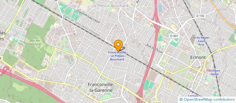 localisation de l'entreprise LEO MULTI SERVICES à SANNOIS