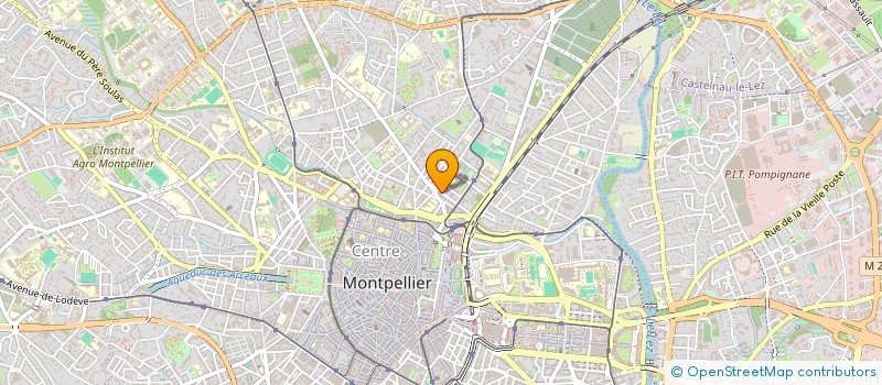 localisation de l'entreprise LEO-SERVICES  MONTPELLIER