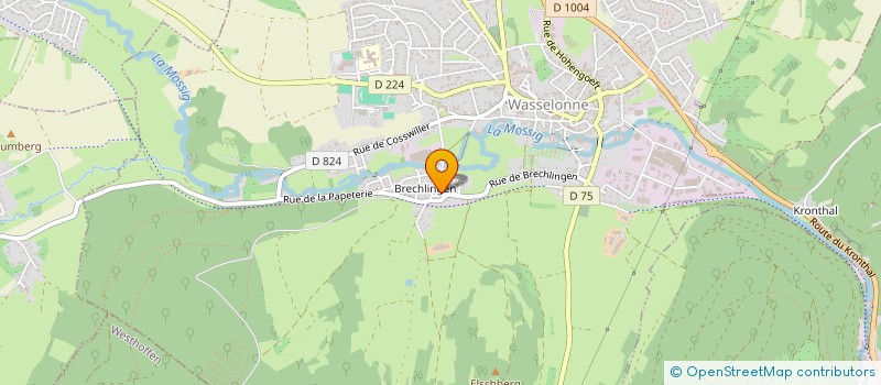 localisation de l'entreprise LEON  WASSELONNE