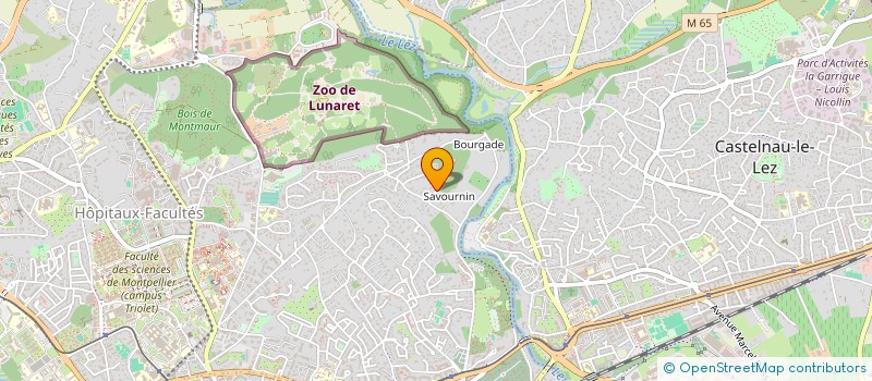 localisation de l'entreprise LEON à MONTPELLIER
