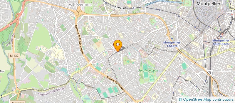localisation de l'entreprise LEON DE HURLEMENT à MONTPELLIER