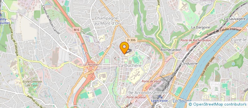 localisation de l'entreprise LEON TRANSPORTS  LYON