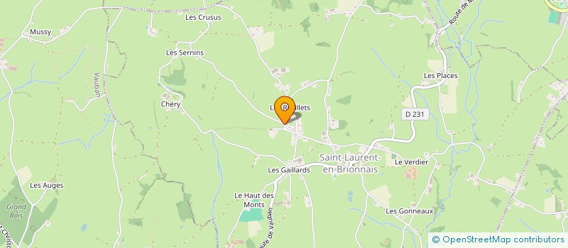 localisation de l'entreprise LEONARD COIFFARD  SAINT-LAURENT-EN-BRIONNAIS