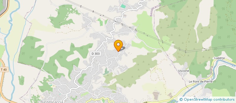 localisation de l'entreprise LEONARDI HOLDING à BASTELICACCIA