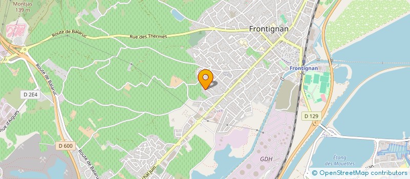 localisation de l'entreprise LEONAS à FRONTIGNAN