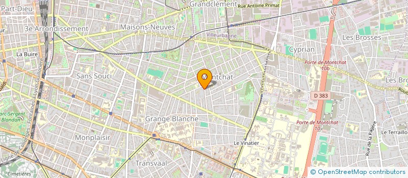 localisation de l'entreprise LEONEM  LYON