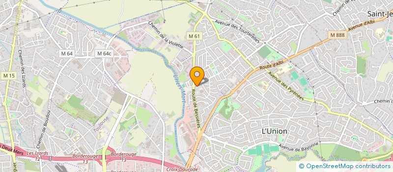 localisation de l'entreprise LEONEO  L'UNION