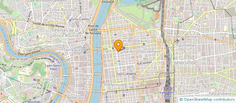 localisation de l'entreprise LEOPARD  LYON