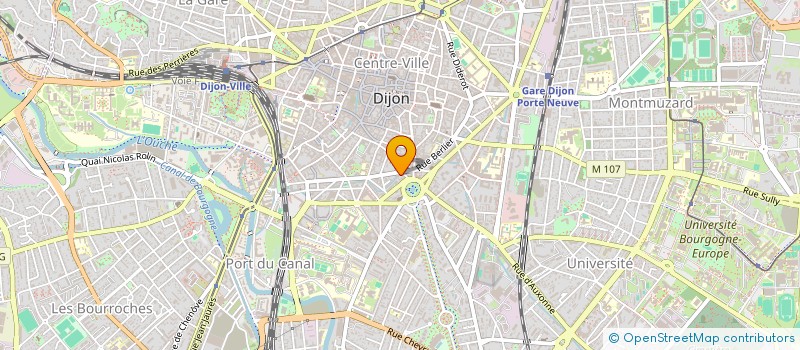 localisation de l'entreprise LEOTINO à DIJON