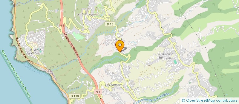 localisation de l'entreprise LERAY DAVID SERVICES  SAINT-LEU