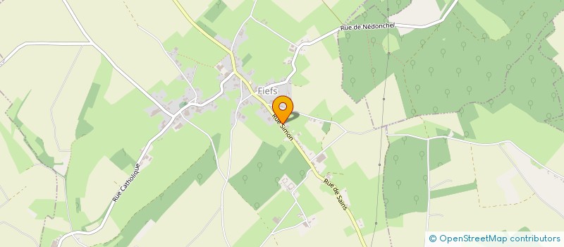 localisation de l'entreprise LERICHE  FIEFS