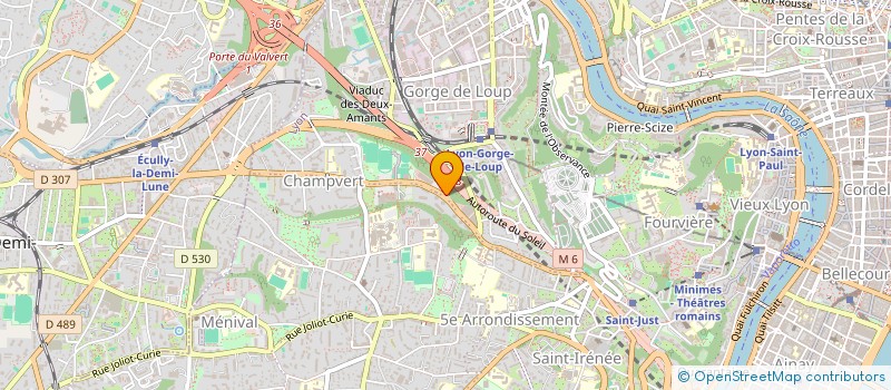 localisation de l'entreprise LERICO  LYON