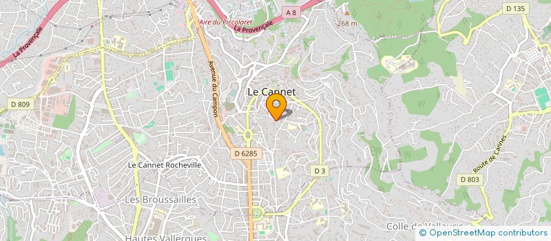 localisation de l'entreprise LERINAE à LE CANNET