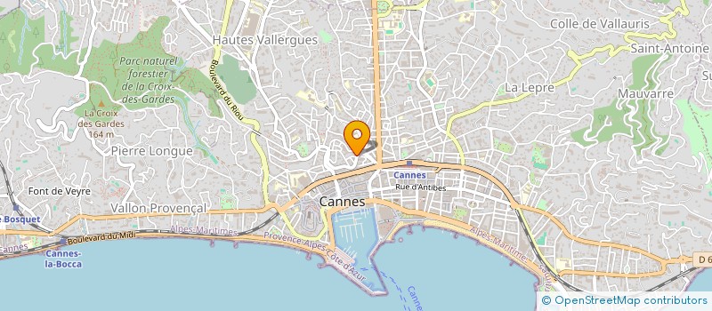 localisation de l'entreprise LERINS SERVICES  CANNES
