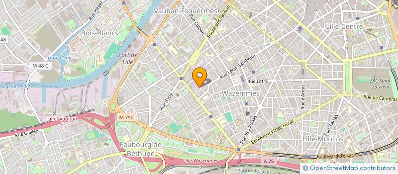 localisation de l'entreprise LERIS CONSULTING  LILLE