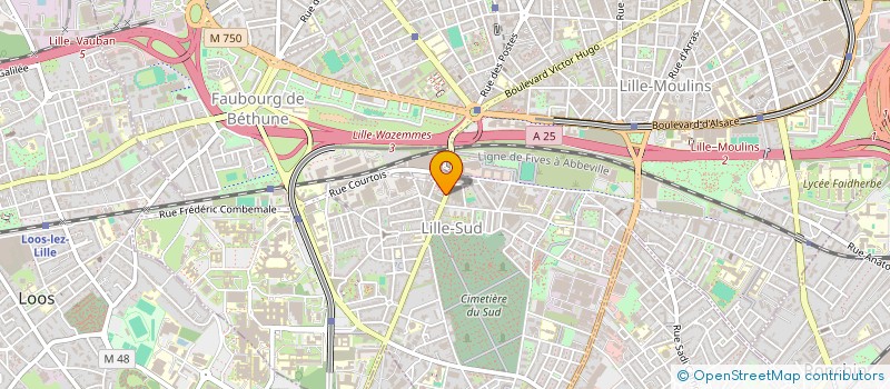 localisation de l'entreprise LES 2 AMIS à LILLE