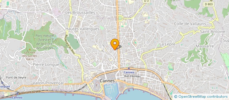 localisation de l'entreprise LES 2 FRERES à CANNES