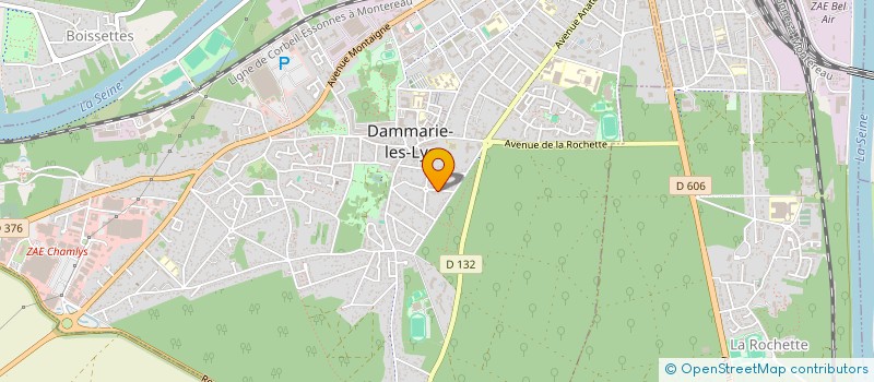 localisation de l'entreprise LES 21 LIONS à DAMMARIE-LES-LYS