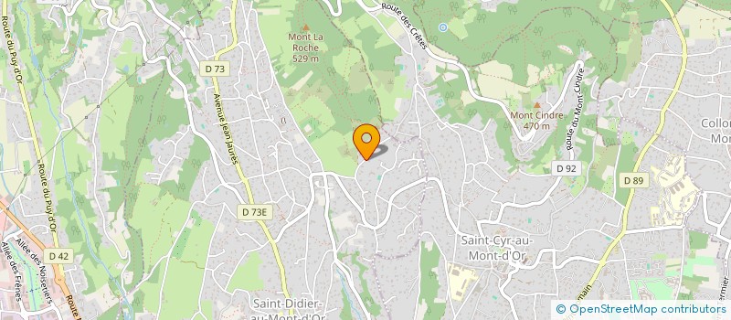 localisation de l'entreprise LES 3 CIS  SAINT-DIDIER-AU-MONT-D OR