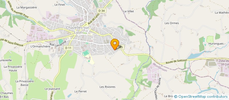 localisation de l'entreprise LES 3M  CHAZELLES-SUR-LYON