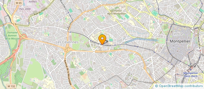 localisation de l'entreprise LES 4 LOUPS à MONTPELLIER