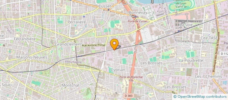 localisation de l'entreprise LES 4S  VILLEURBANNE