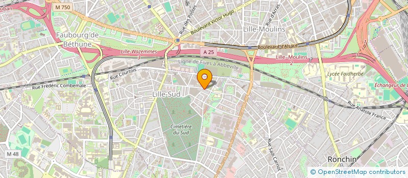 localisation de l'entreprise LES 99 à LILLE