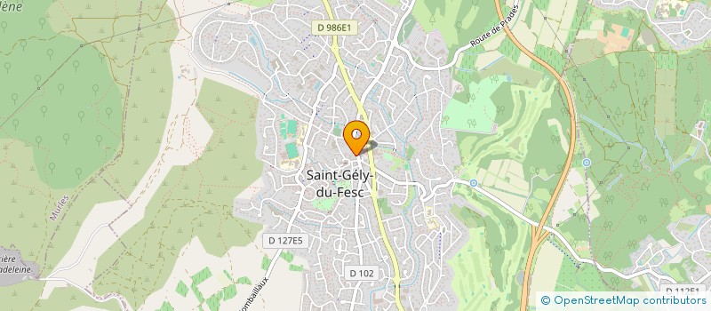 localisation de l'entreprise LES ACTIFS DU PIC - CERCLE DES ENTREPRENEURS DU PIC ST LOUP ET MONTPELLIER NORD  SAINT-GELY-DU-FESC