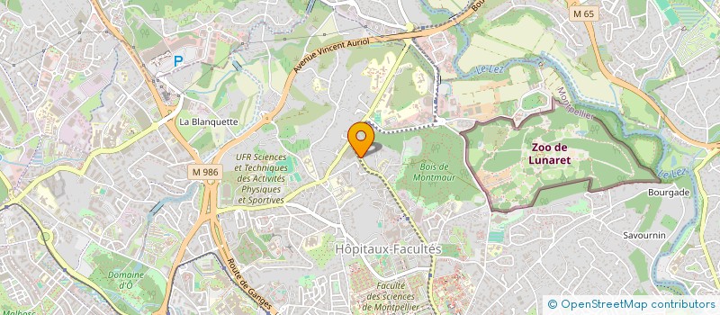 localisation de l'entreprise LES AGAVES à MONTPELLIER